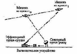 Информатика. Систематический курс